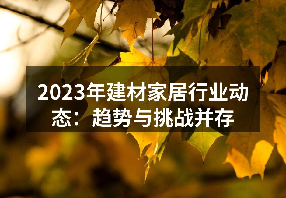 2023年建材家居行业动态：趋势与挑战并存